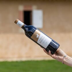Le Dada de Rouillac, un vin de partage ❤️🍷

Avec ses arômes intenses de fraises des bois et de réglisse, cette cuvée est très gourmande et fruitée, alliant puissance et finesse 🍇
Elevé 9 mois en barriques de chêne français, ce Pessac Leognan millésime 2018 est à consommer aussi bien jeune qu'après 5ans de garde.

Nos conseils :
🍷 L'ouvrir une heure avant dégustation. Température idéale entre 16 et 18°C. 
🍴 Accords Mets & Vins : avec une viande grillée comme une côte de boeuf, un rôti de porc et même un plateau de charcuterie et fromage. Il accompagnera merveilleusement bien vos desserts au chocolat 🍫

Belle dégustation ! 

👉Retrouvez le sur notre e-shop www.maisoncisneros.com ou directement à la boutique du Château de Rouillac
📸 @yann_pellegrino

#maisoncisneros #chateauderouillac #pessacleognan #bordeaux #vins #vinsbordeaux #epiceriefine #vignoble #bordeauxmaville #bordeauxfood #rouillac #cisneros #dadaderouillac #partage #accordsmetsetvins #merlot #cabernetsauvignon