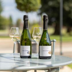 Champagne Laurent Cisneros et Filles 🍾
Issu d'un assemblage de cépages rares comme l'Arbane, cette cuvée confidentielle tout en finesse et en élégance vous réserve de belles émotions ✨
Avec ses arômes d'agrumes, de fleurs blanches et de pêche de vigne, ce Champagne est idéal pour l'apéritif et même pour accompagner votre repas 🍊

Notre équipe de la boutique du Château de Rouillac sera ravie de vous conseiller sur les meilleurs accords Mets & Vins 🍴🥂

Découvrez cette cuvée prestigieuse créée en famille pour des moments de partage raffinés et élégants.🤍✨

➡ Rendez-vous sur notre e-shop
📸 @yan_pellegrino

#maisoncisneros #chateauderouillac #pessacleognan #bordeaux #vins #vinsbordeaux #epiceriefine #vignoble #bordeauxmaville #bordeauxfood #rouillac #cisneros #champagne #champagnelaurentcisnerosetfilles #prestige #trilogiedeblancs #pinotblanc #chardonnay #arbane